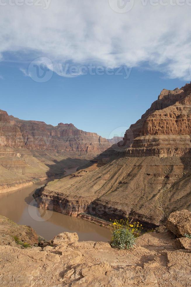 parte inferiore di il mille dollari canyon foto