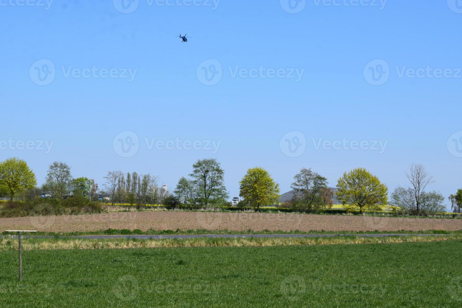 palude con un' uccello volante attraverso foto