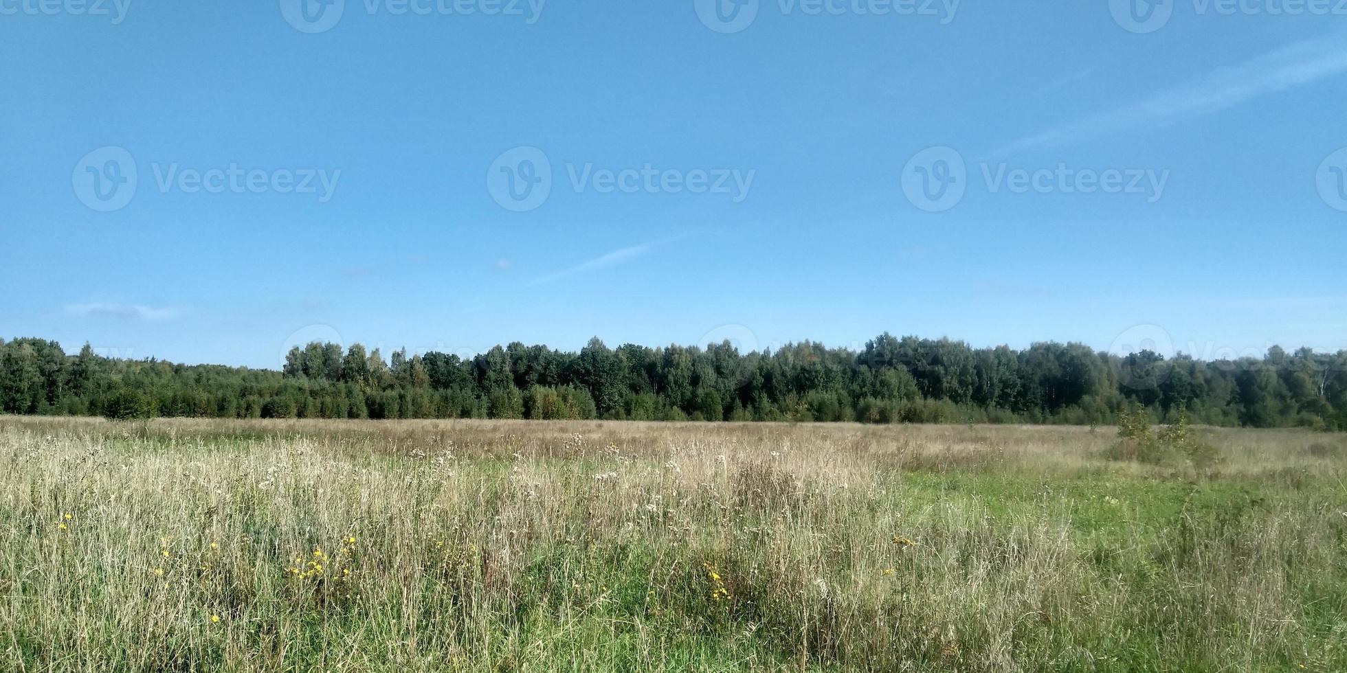 bellissimo paesaggio. natura immagine sfondo. primavera natura. blu chiaro cielo. luce del sole e soffice nuvole. campo e prato. foto