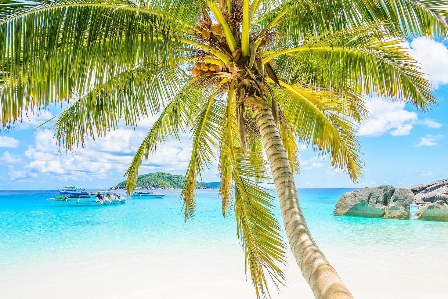 bellissimo sfondo spiaggia tropicale foto