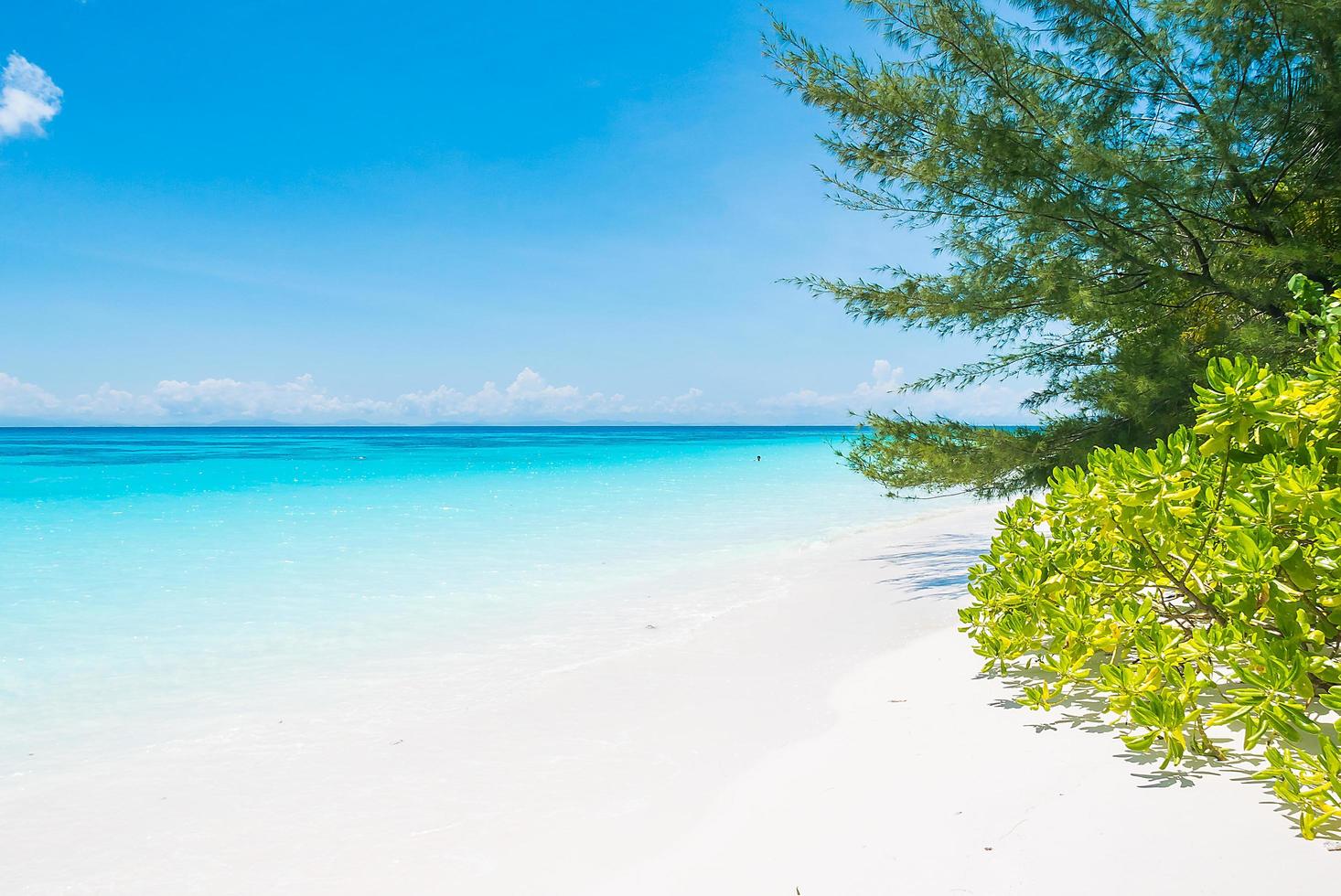 bellissimo sfondo spiaggia tropicale foto