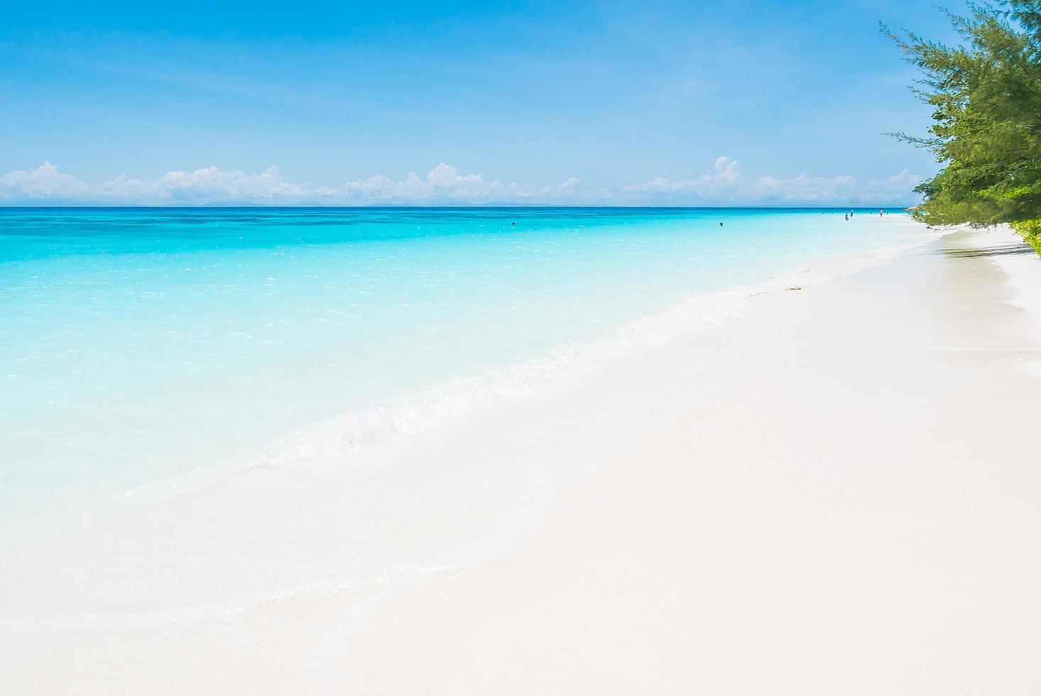 bellissimo sfondo spiaggia tropicale foto