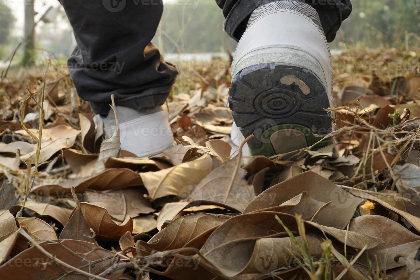 avvicinamento gambe di donna a piedi inoltrare nel il foresta. foto