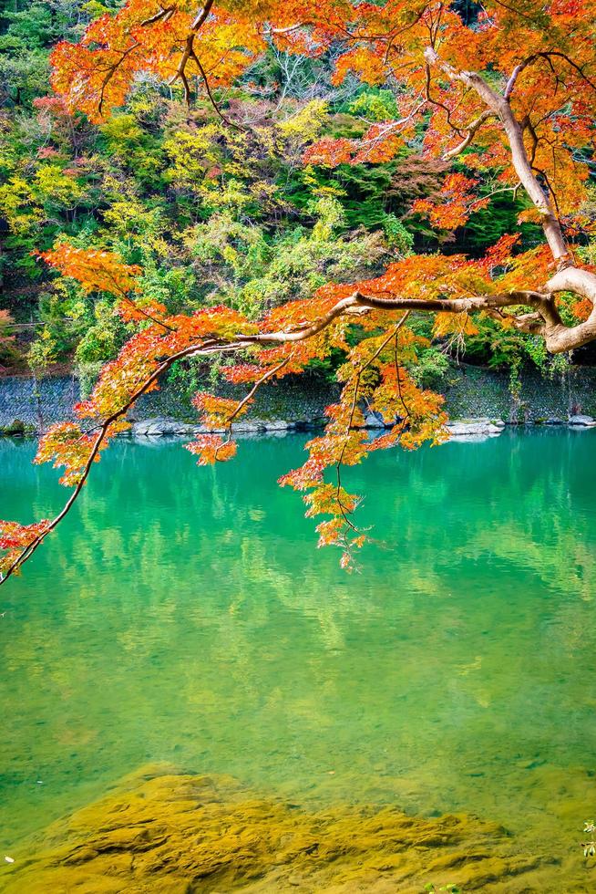 bellissimo fiume arashiyama con albero foglia d'acero foto