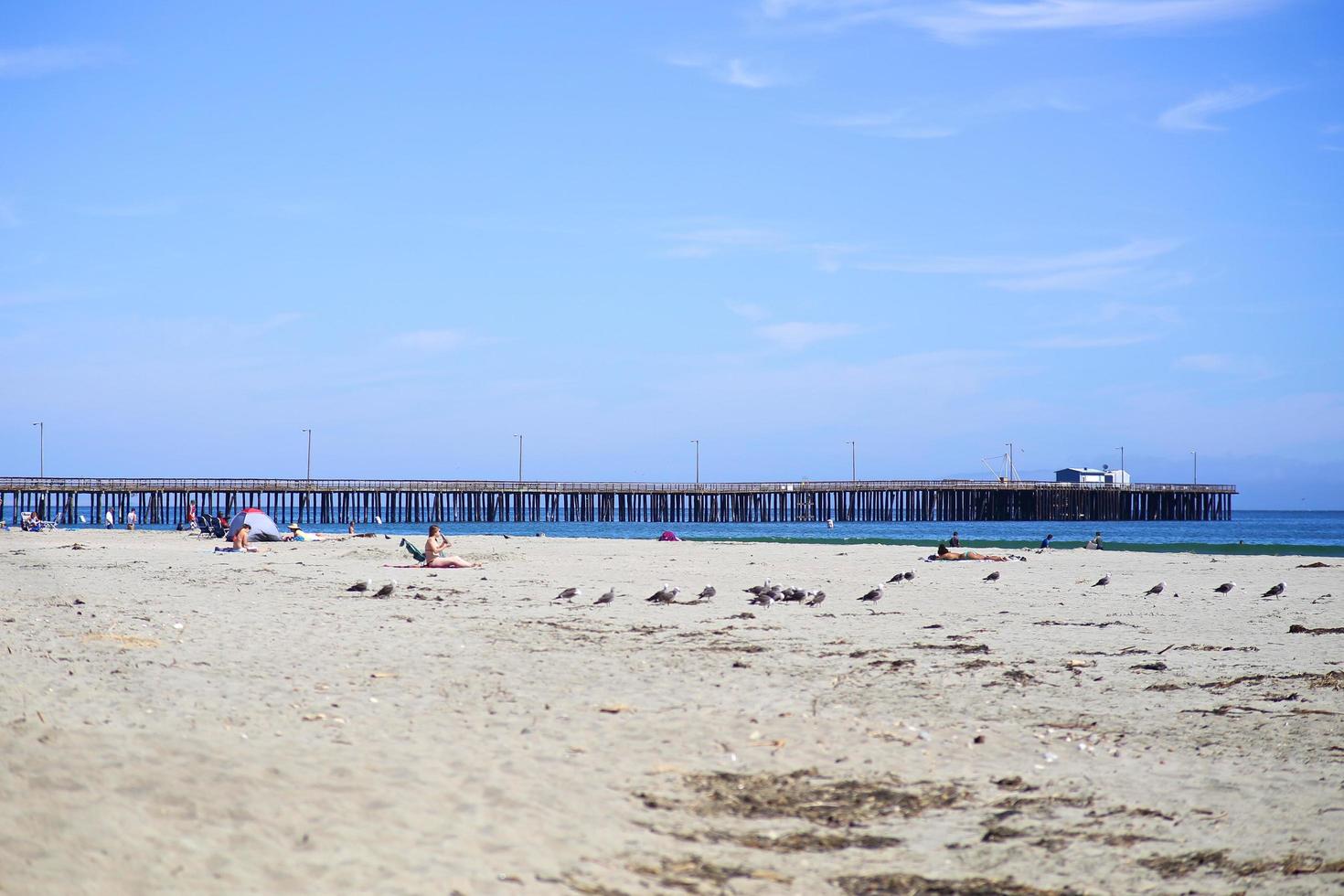 vista della spiaggia di avila in california foto