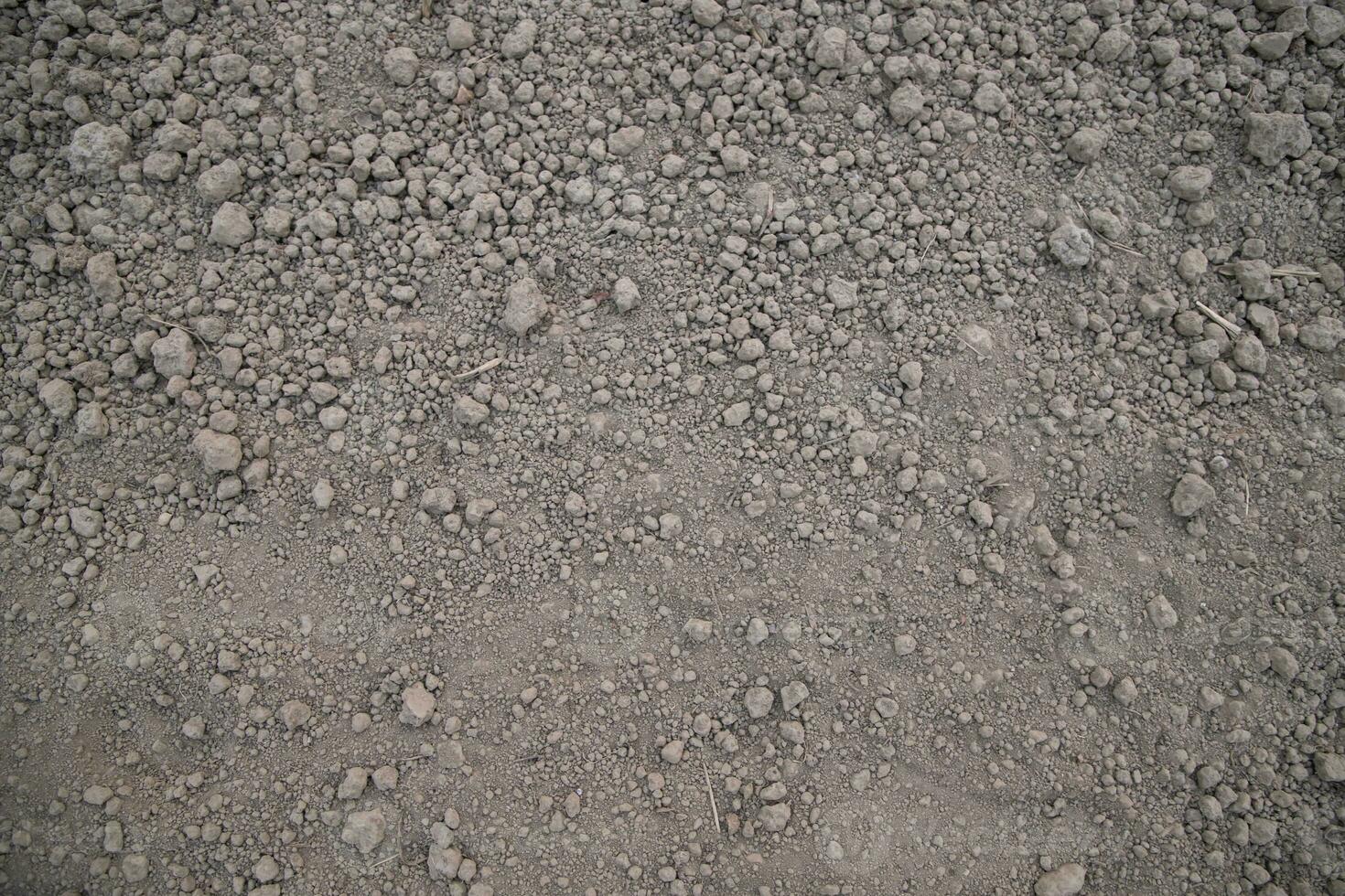 Marrone schiacciato suolo torba campo struttura Maggio essere Usato come un' sfondo sfondo foto