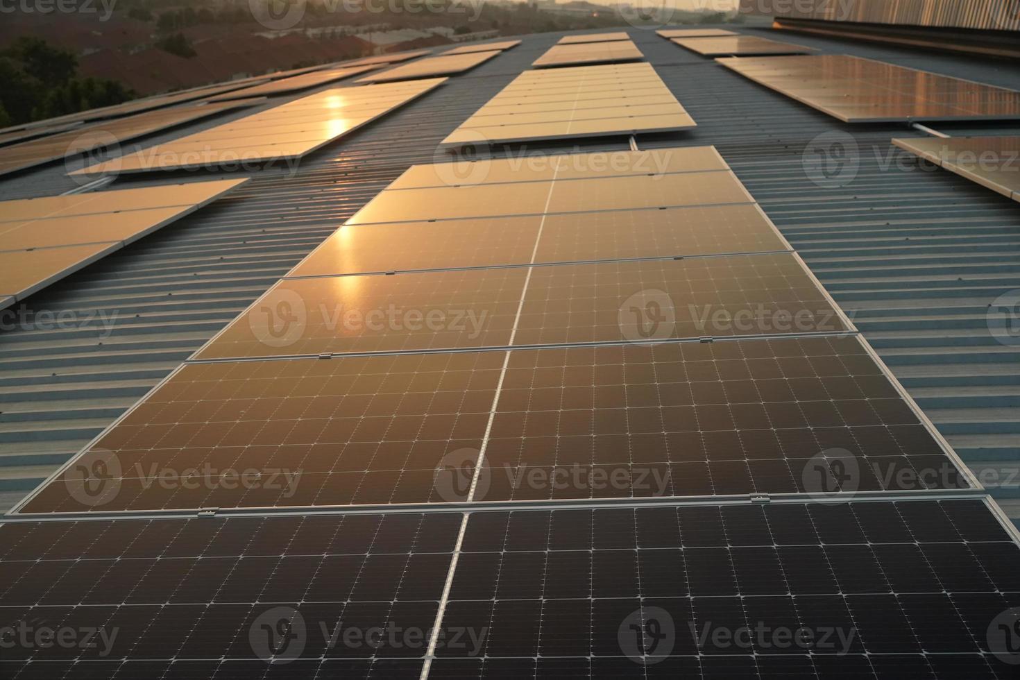 solare cellula pannelli a solare azienda agricola foto