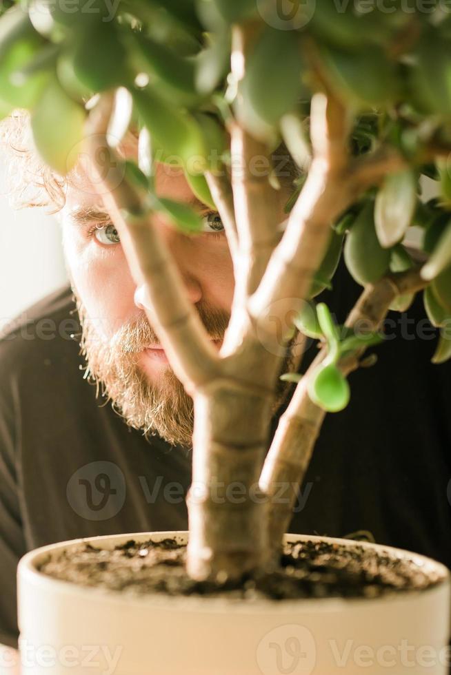 maschio occhio emergente dietro a in vaso pianta e uomo nascondiglio - spionaggio e ombra concetto foto