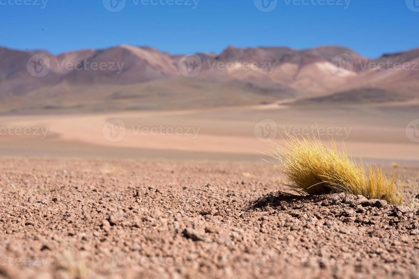 altopiano del deserto in bolivia foto