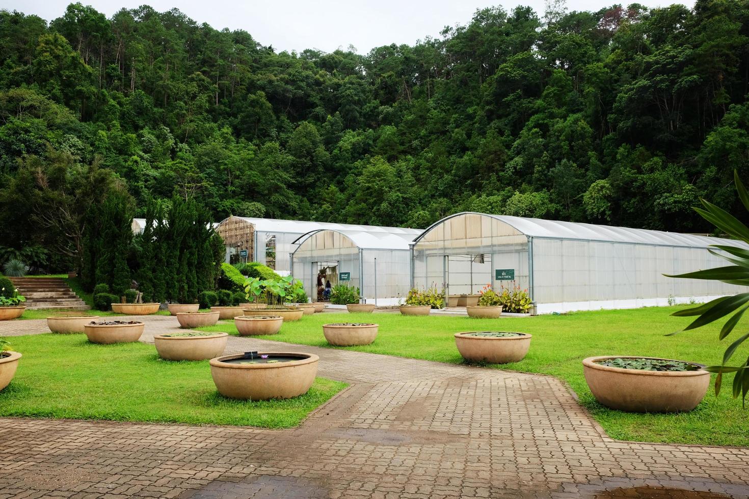 serra e conservatorio a Regina sirikit botanico giardino e arboreto, scalatore pista per studia di vario pianta specie. foto