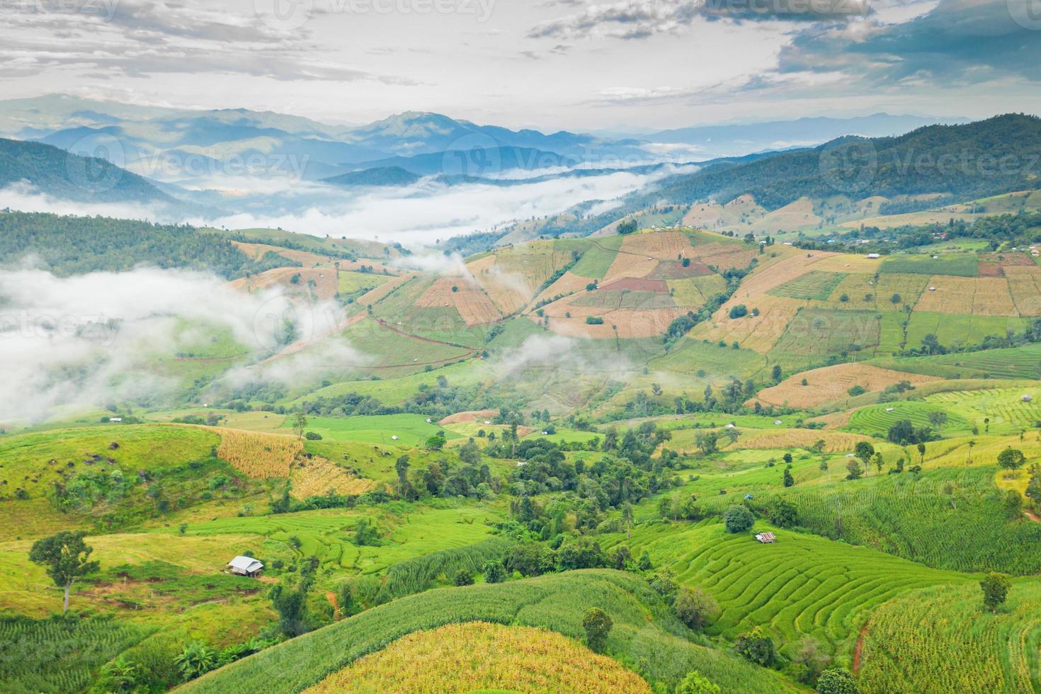 montagne e terrazze di riso nel nord della Thailandia foto