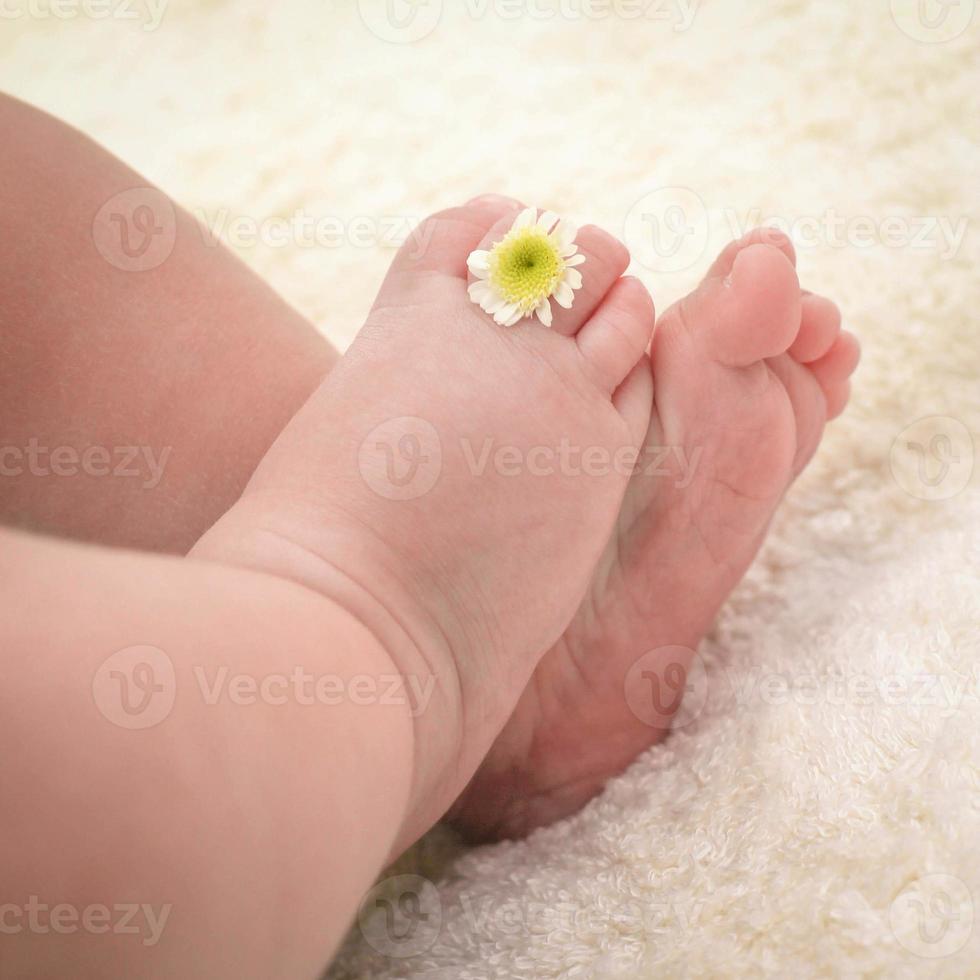 gambe bambino con camomilla su il dita foto