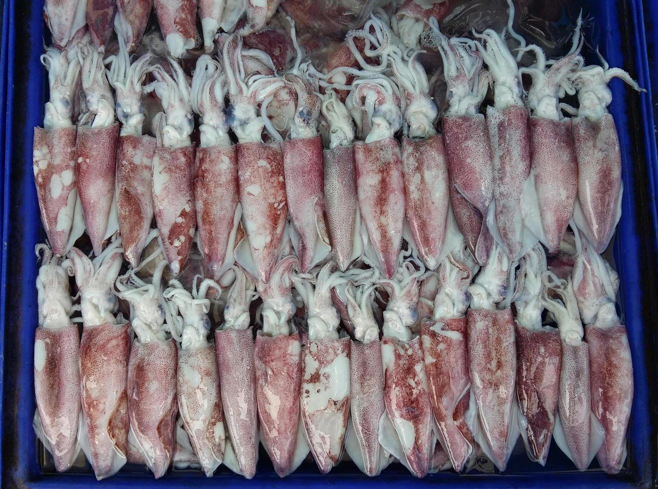 frutti di mare calamari crudi bianchi freschi in vendita nel mercato dei prodotti freschi foto