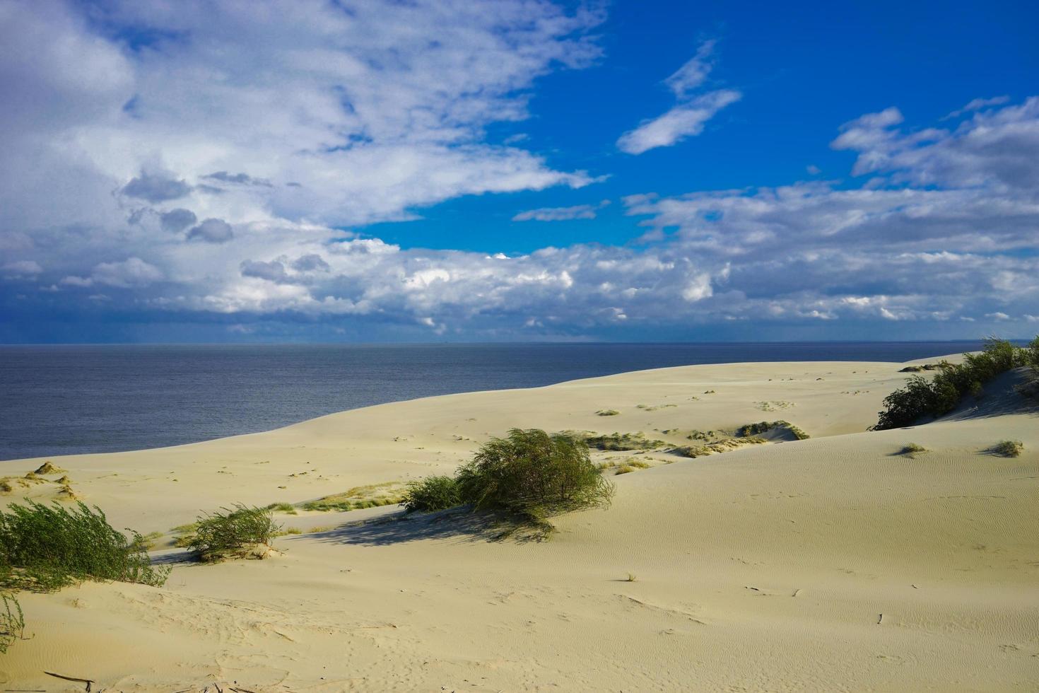 paesaggio marino del mar baltico con dune di sabbia costiera della lingua dei curoni. foto