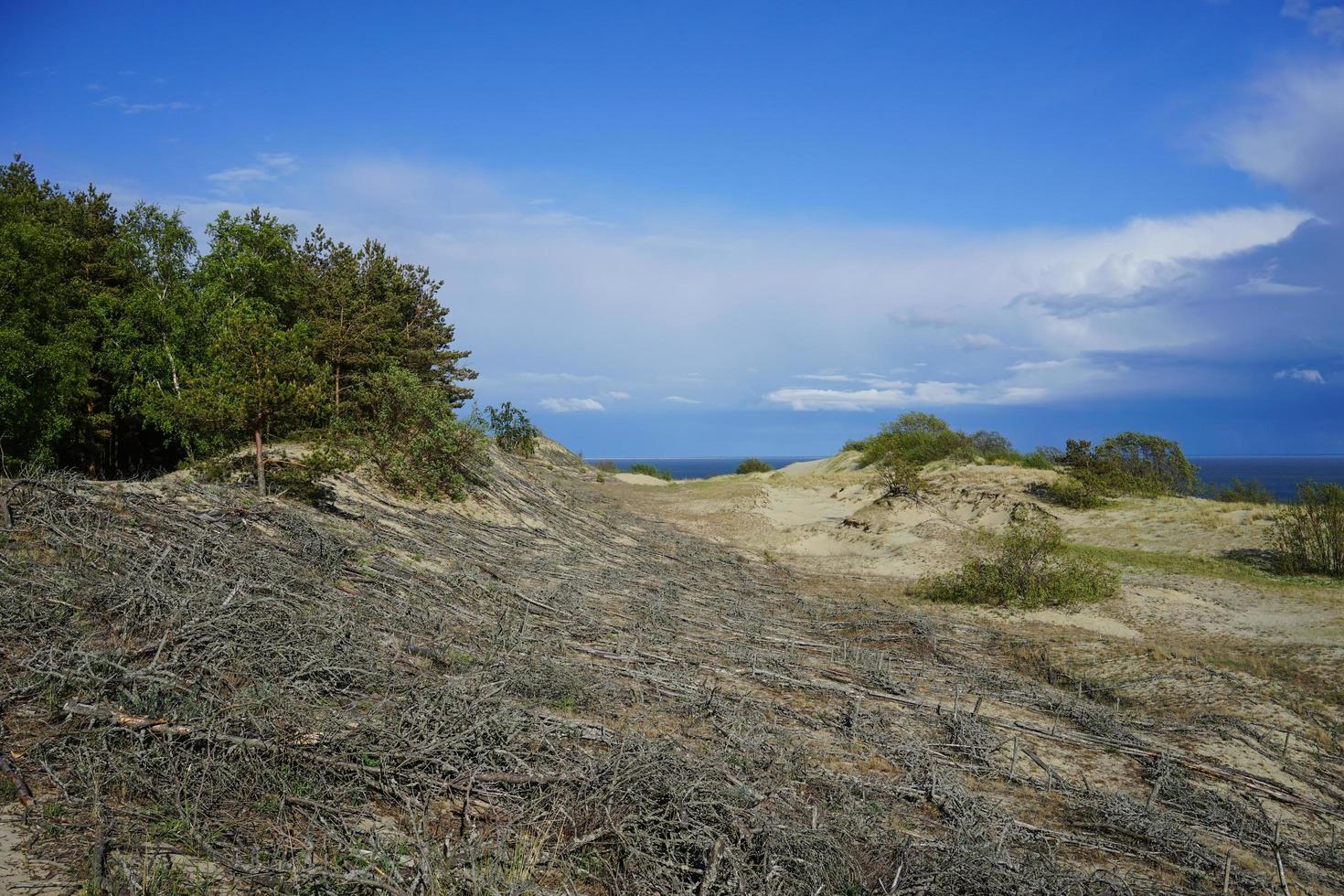 paesaggio naturale con vista sulle dune di sabbia, foto