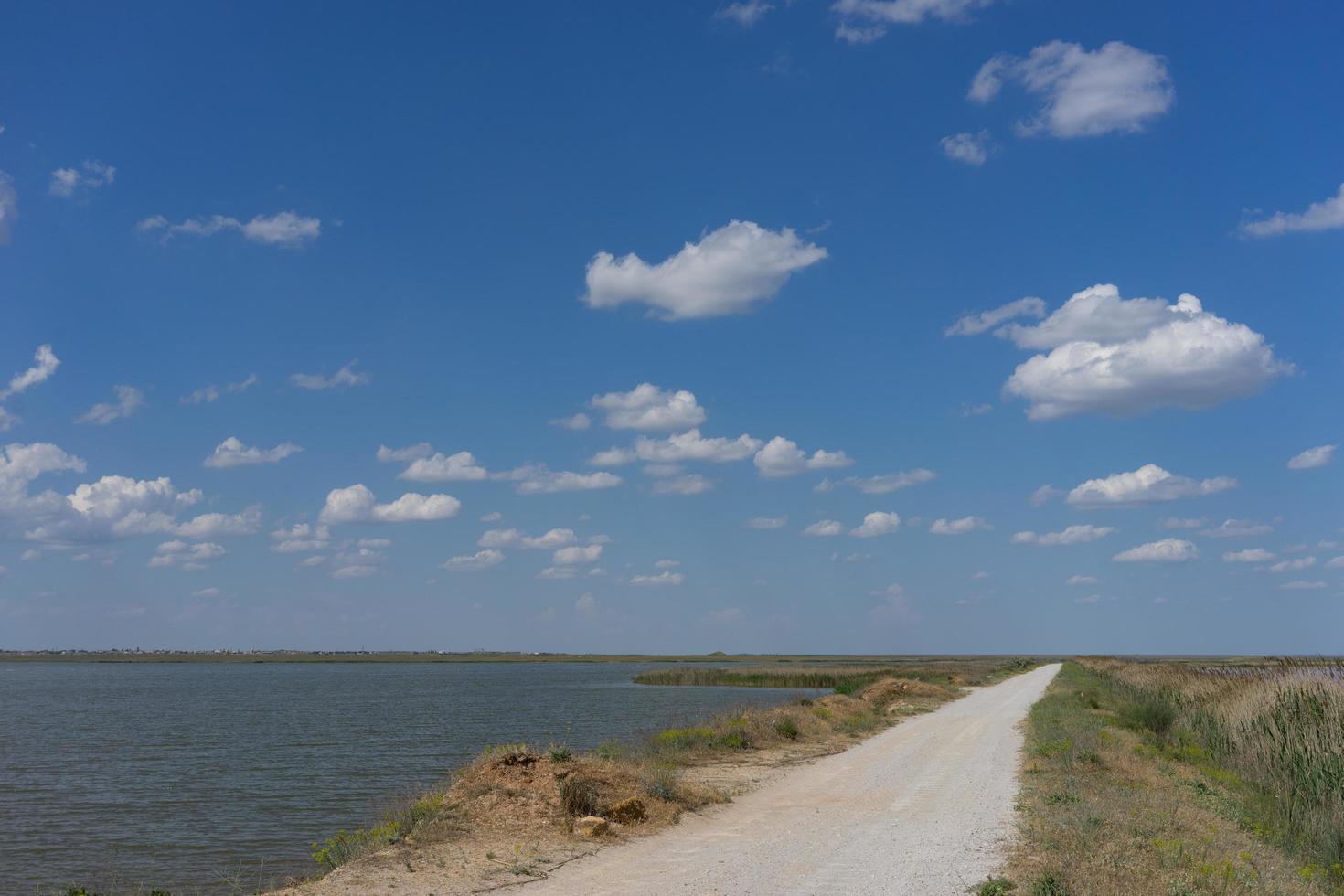 strada di campagna che costeggia il lago con canneti. foto