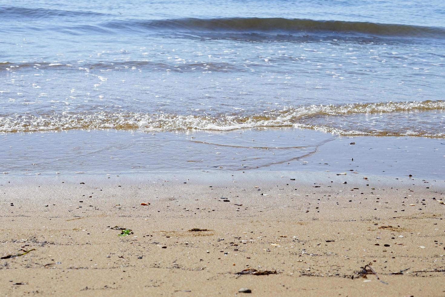 conchiglie sulla sabbia. sfondo di vacanze estive di mare foto