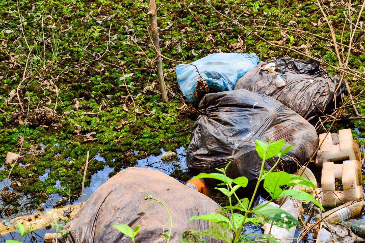 plastica rifiuto nel il acqua foresta acqua inquinamento plastica rifiuto ecologia globale riscaldamento foto