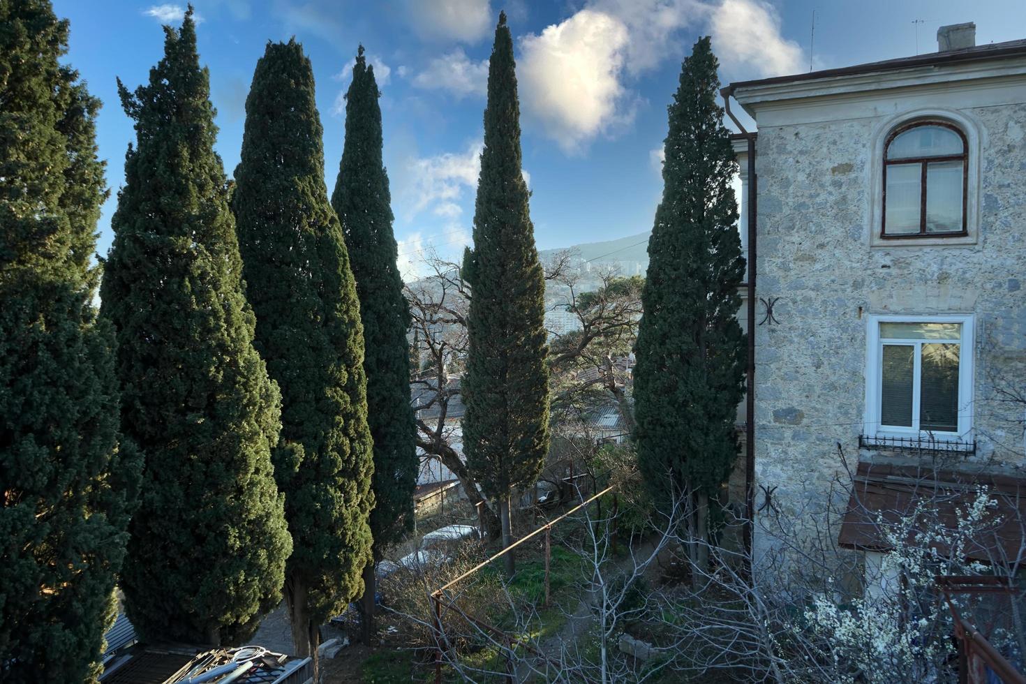 yalta, crimea. paesaggio urbano foto