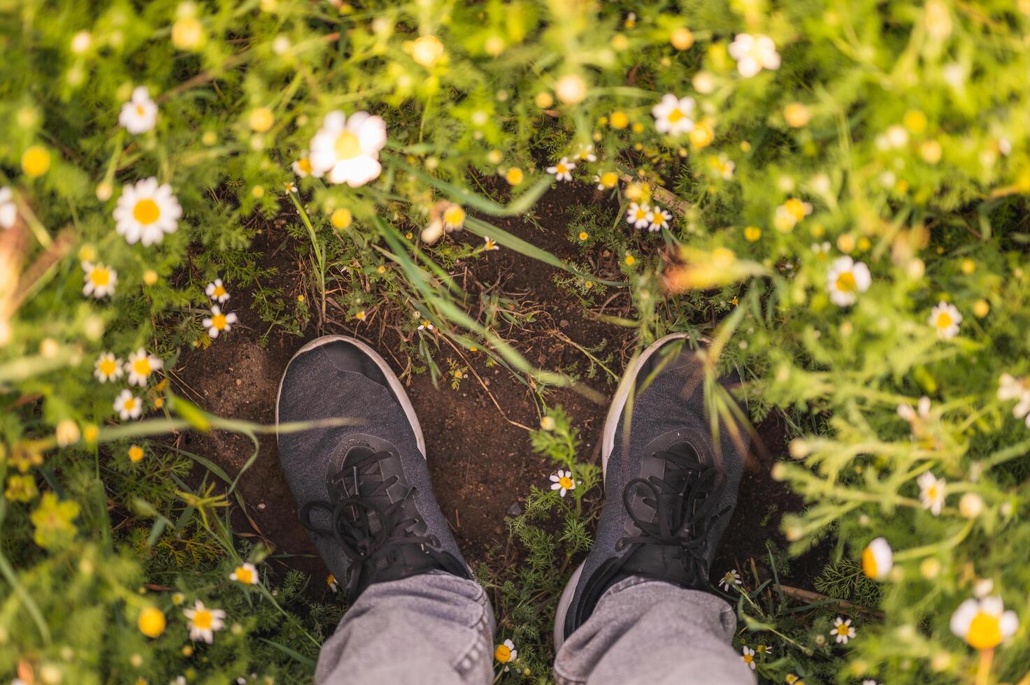 primo piano dei piedi per terra con un sacco di fiori primaverili intorno foto