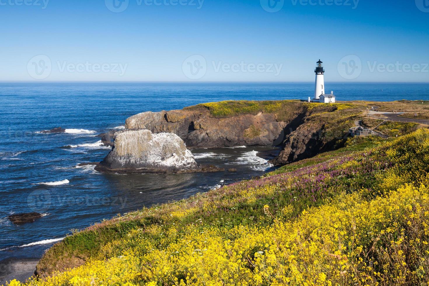 yaquina head lighthouse oregon usa foto