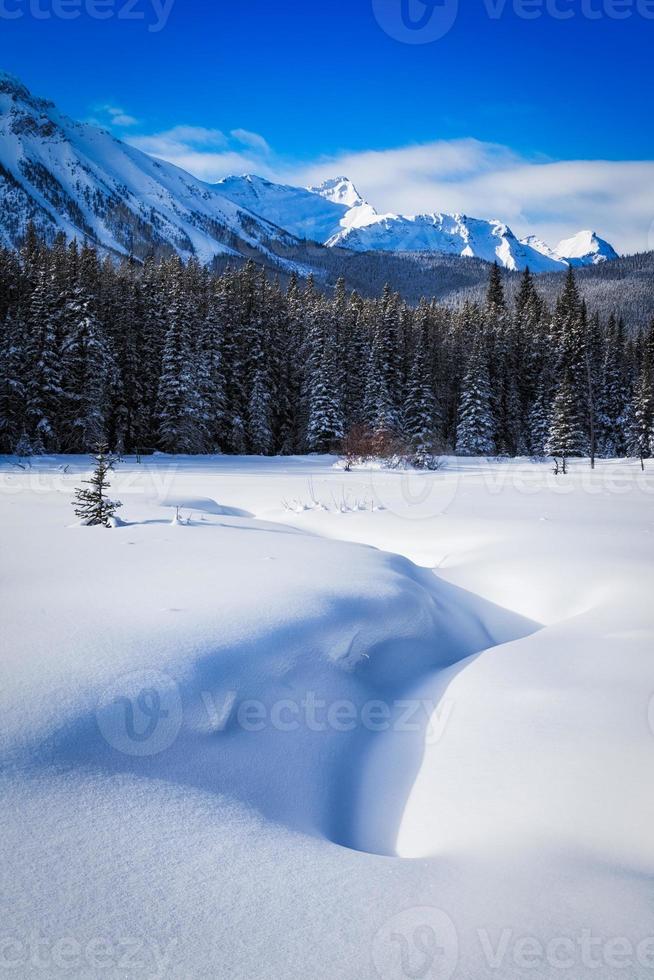 inverno nelle montagne rocciose canadesi foto