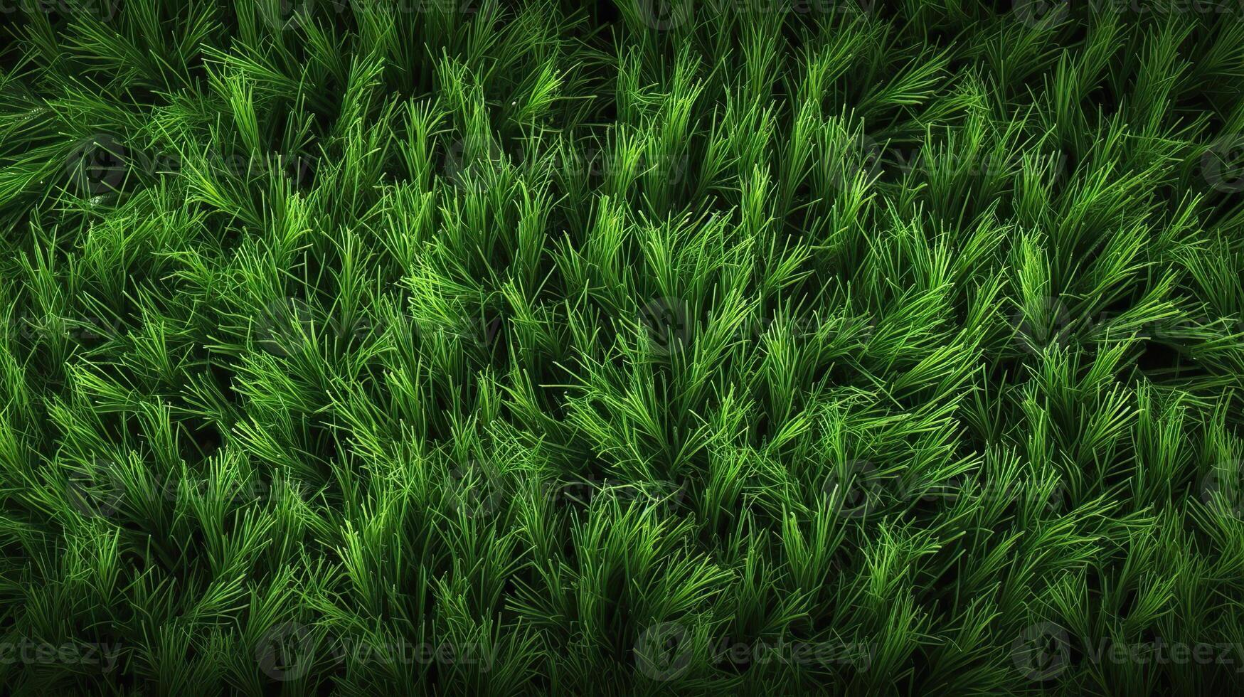 ai generativo. ai generato. concetto di foto di verde erba. sfondo modello agricoltura. può essere Usato per grafico design. grafico arte