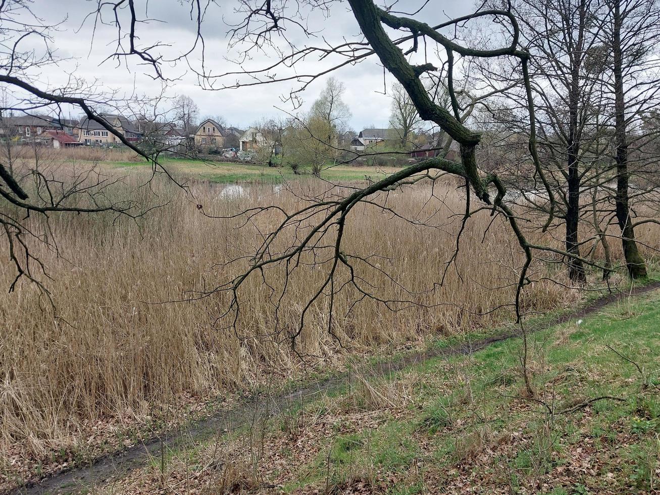 panorama di il fiume nel il villaggio foto