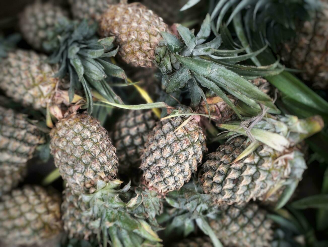 un' grande mucchio di ananas volontà essere pelato per rendere marmellata foto