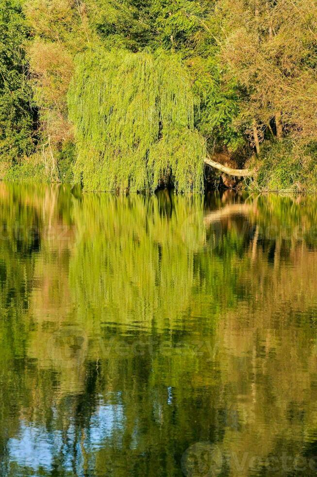 su il fiume corso foto