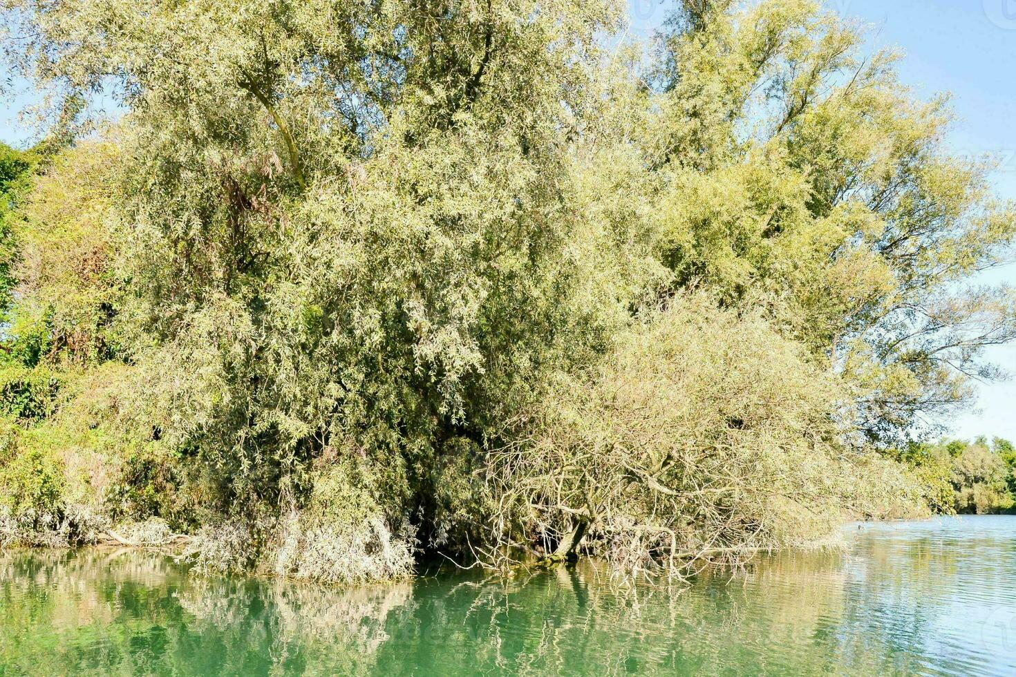 su il fiume corso foto