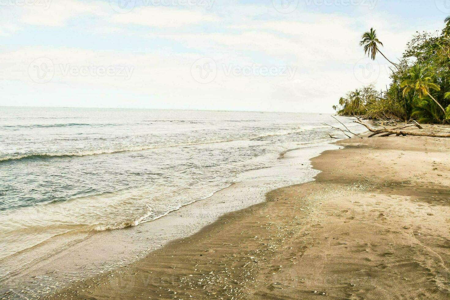 panoramico mare Visualizza foto