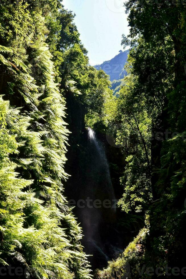 bellissimo acqua spruzzo cascata foto