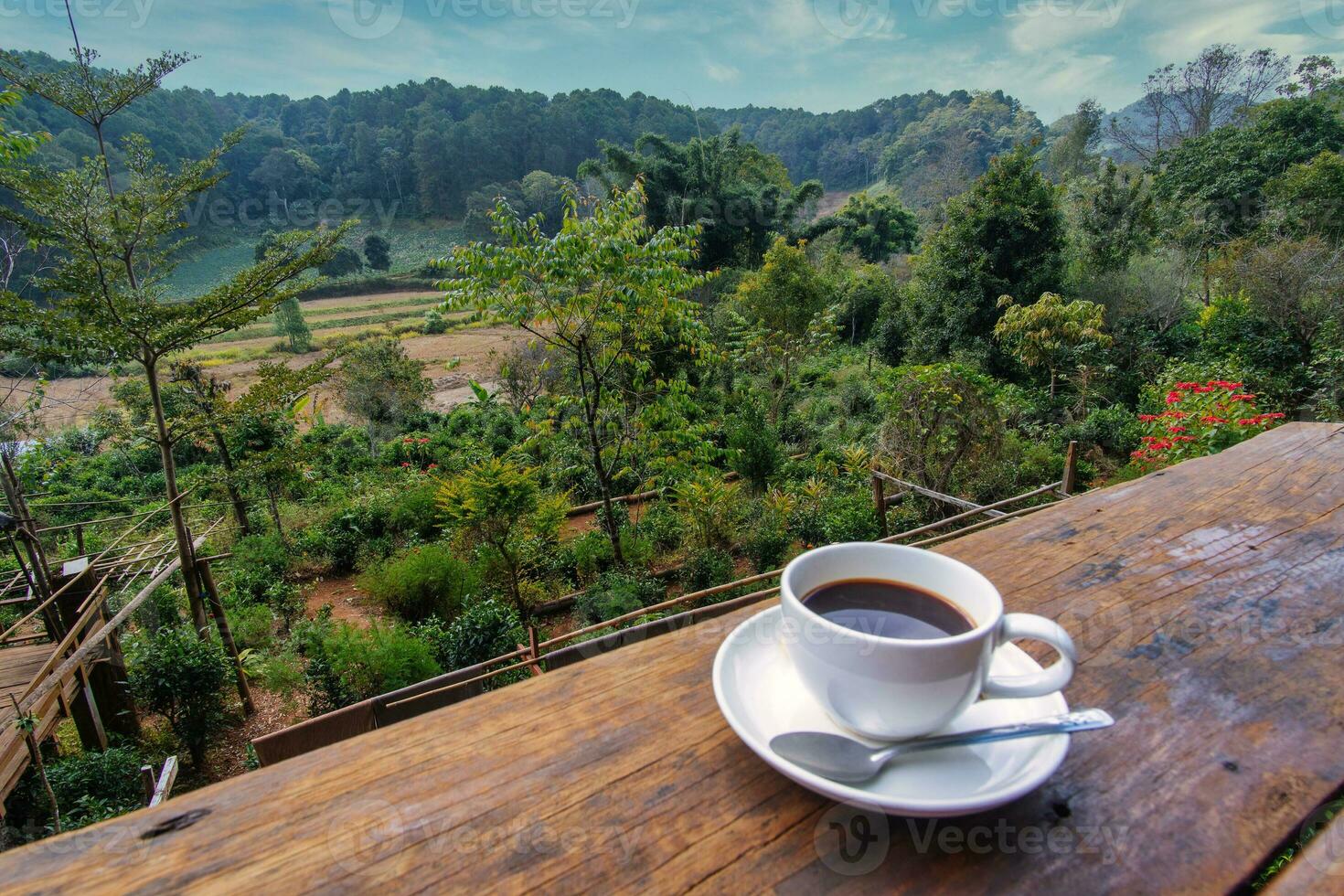 verde paesaggio nel settentrionale Tailandia con blu nuvoloso cieli foto