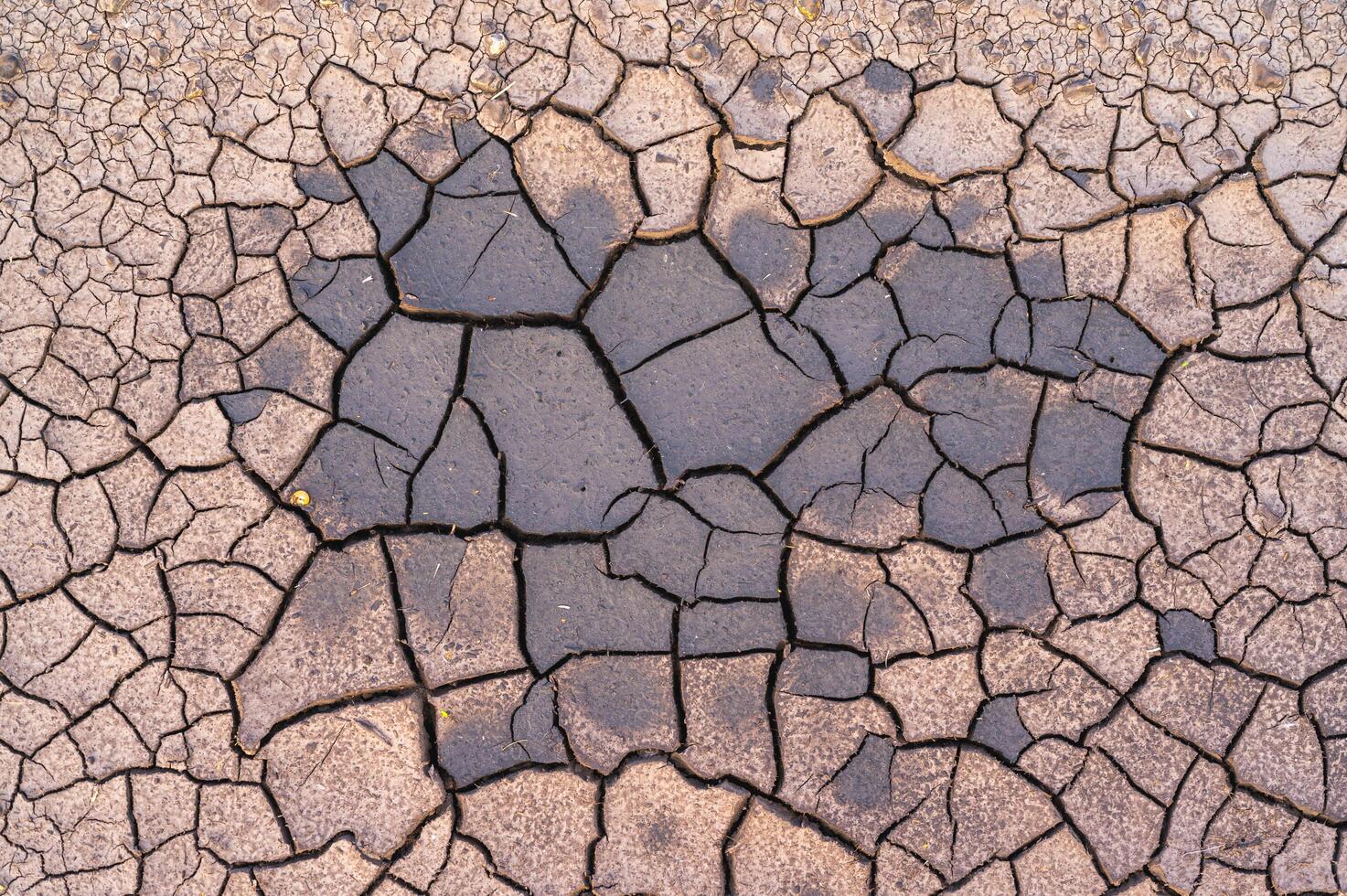 consistenza della torba secca rotta con un po 'di umidità foto