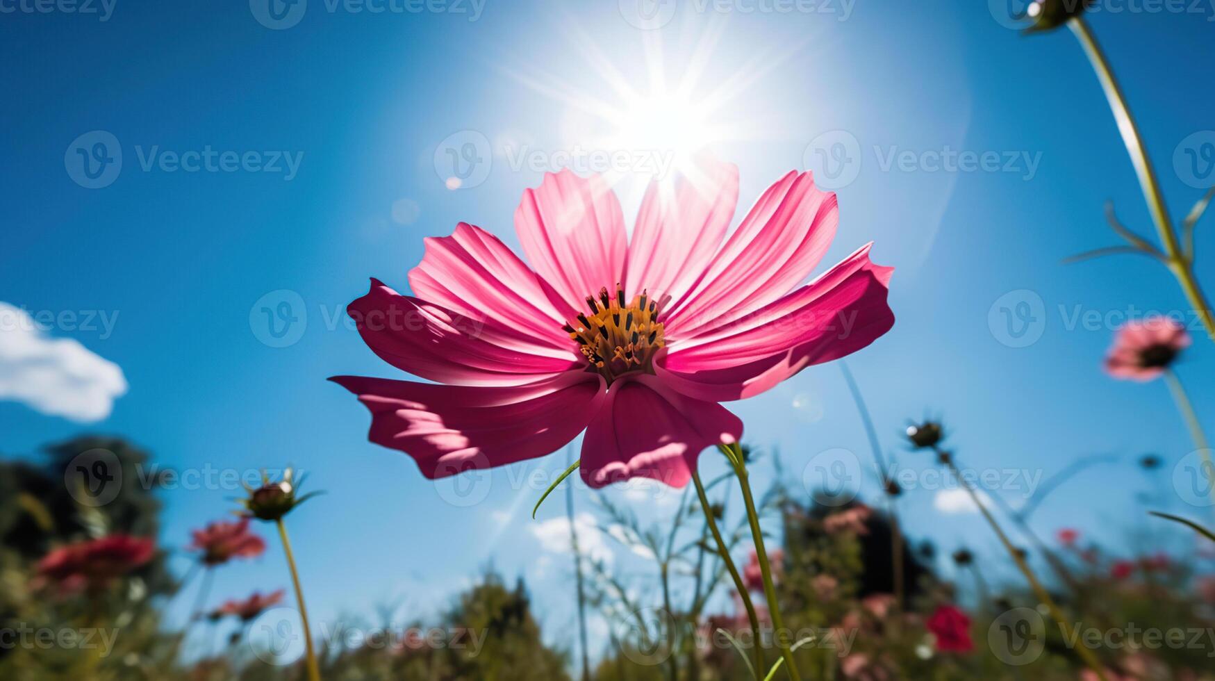 bellissimo cosmo fiori fioritura nel giardino, generativo ai foto