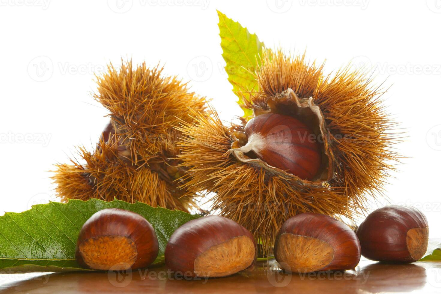 castagne su sfondo bianco foto