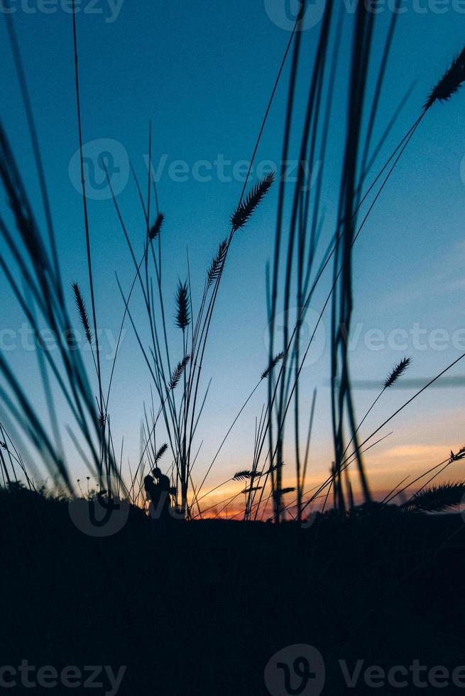 ragazza bionda con i capelli sciolti in un vestito azzurro e un ragazzo alla luce del tramonto foto