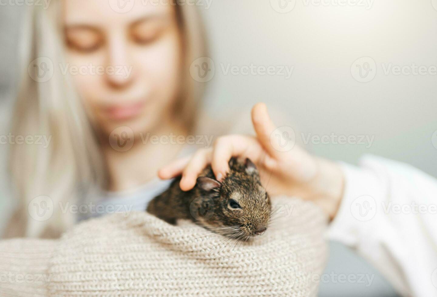 giovane ragazza giocando con piccolo animale degu scoiattolo. foto