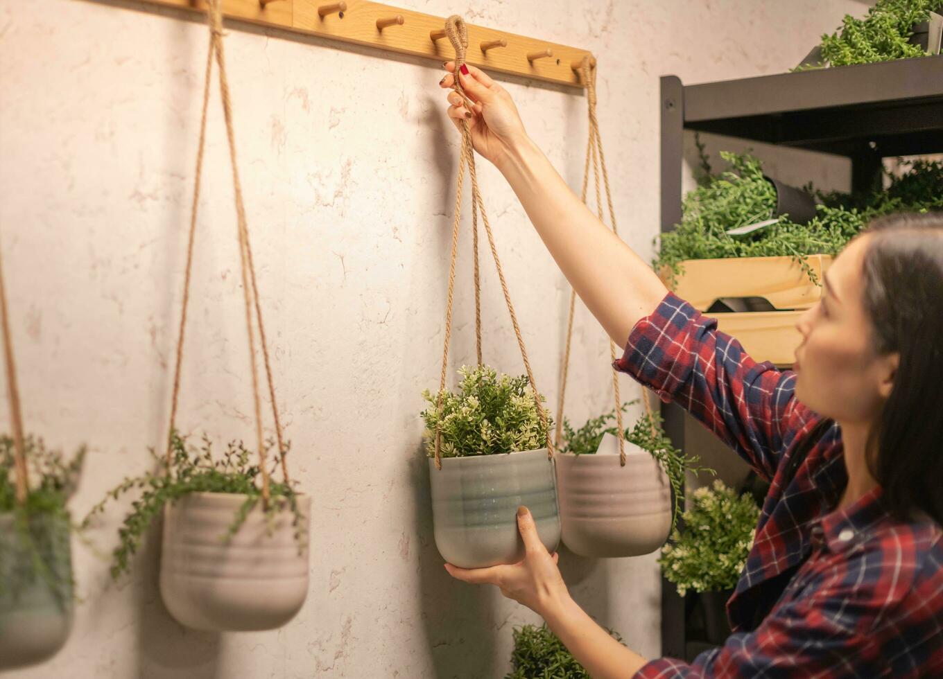 femmina sospeso il ceramica albero pentola su per il parete per decorare nel domestico camera. foto