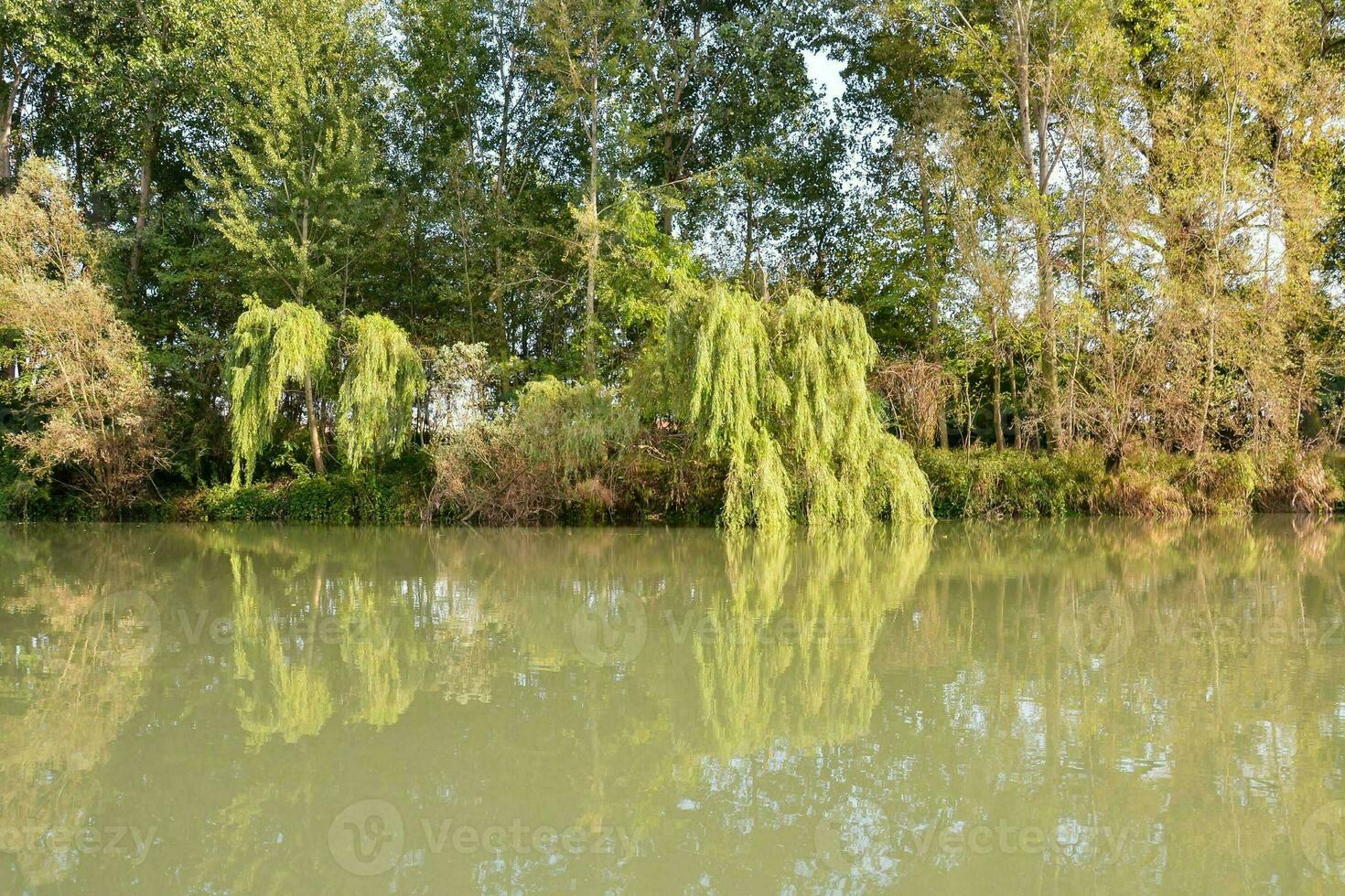 di il Riva del fiume foto