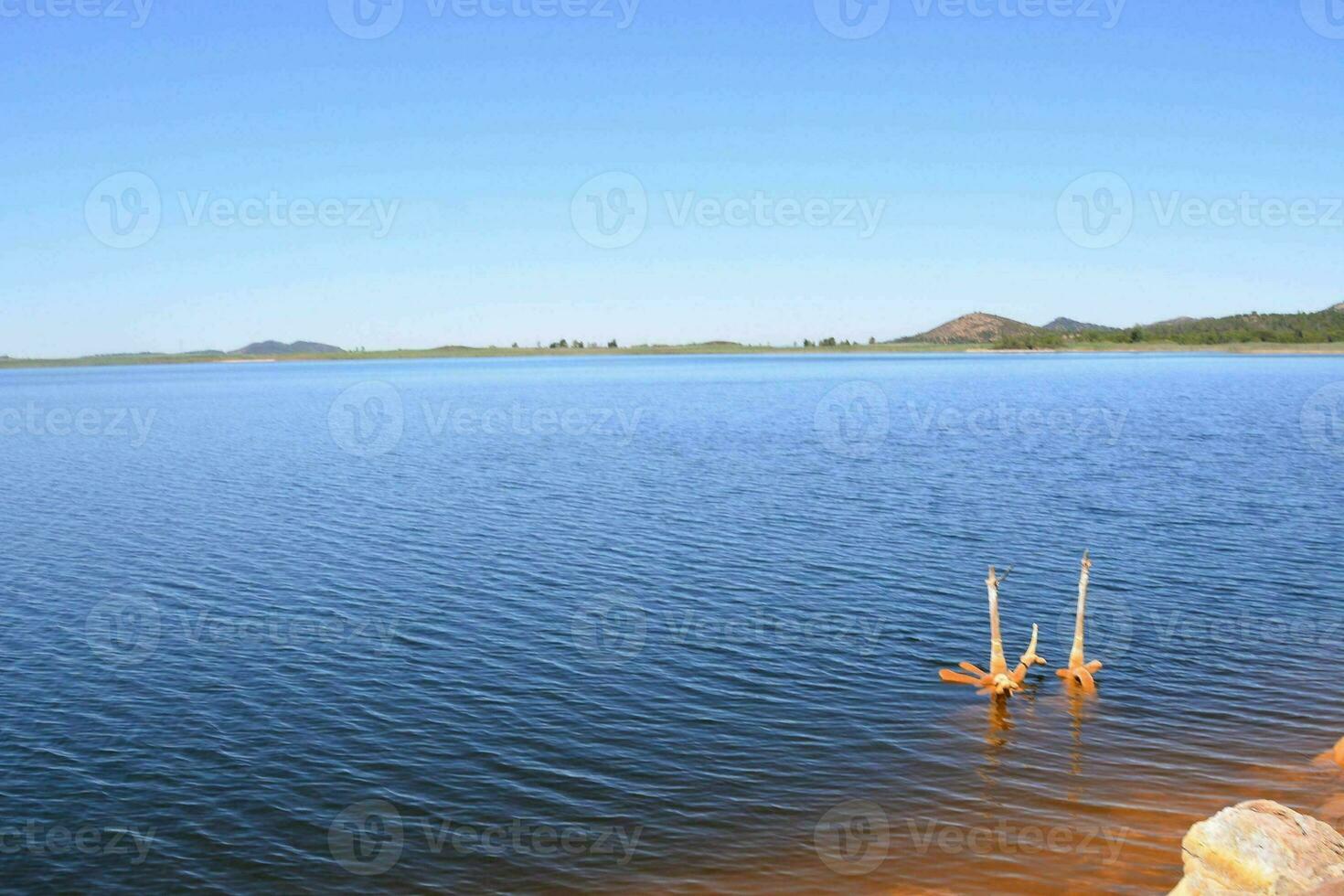 rame rosso inquinata lago foto