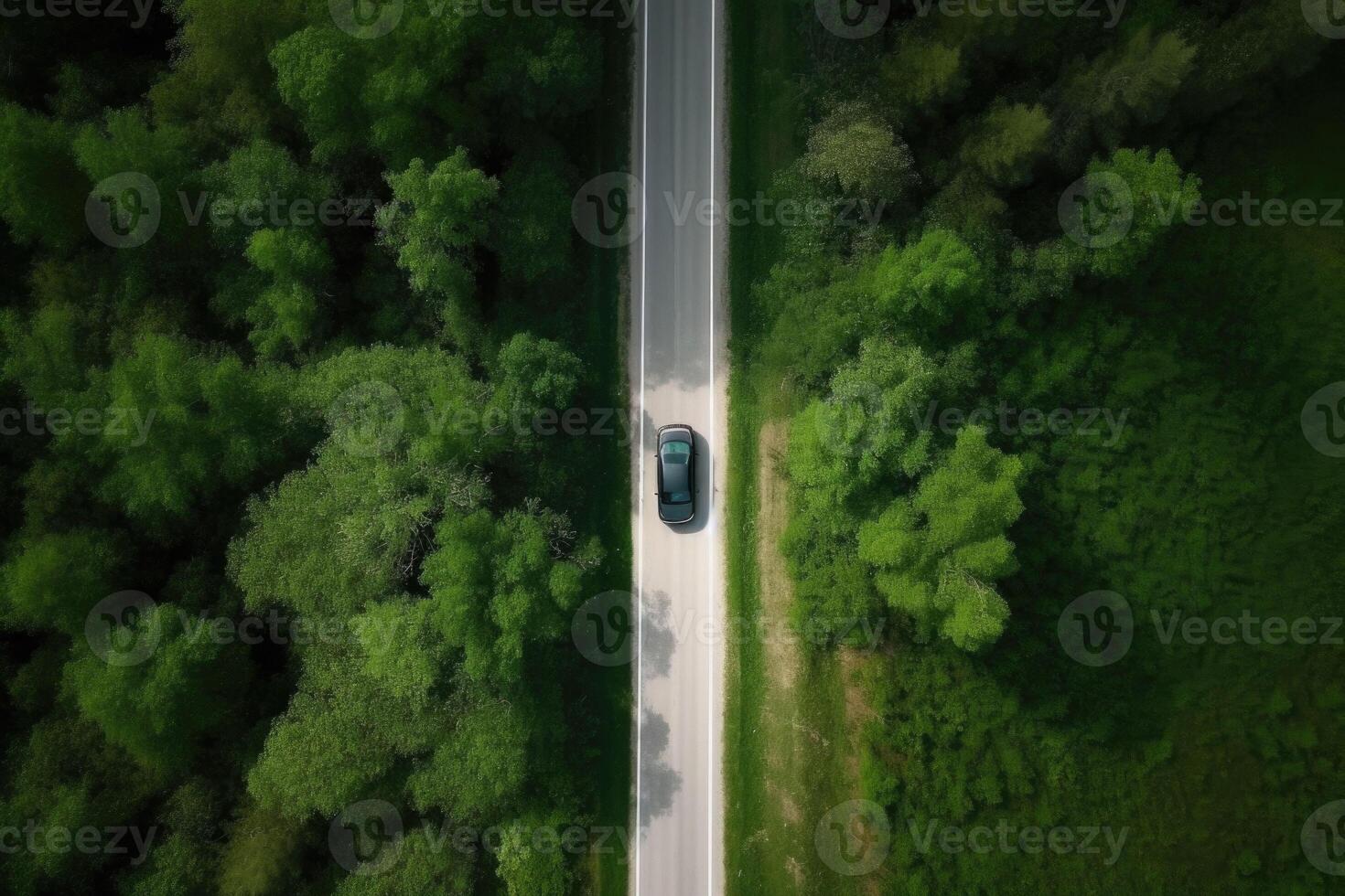 aereo Visualizza strada e foresta. strada andando attraverso foresta con auto Visualizza a partire dal sopra. generativo ai foto
