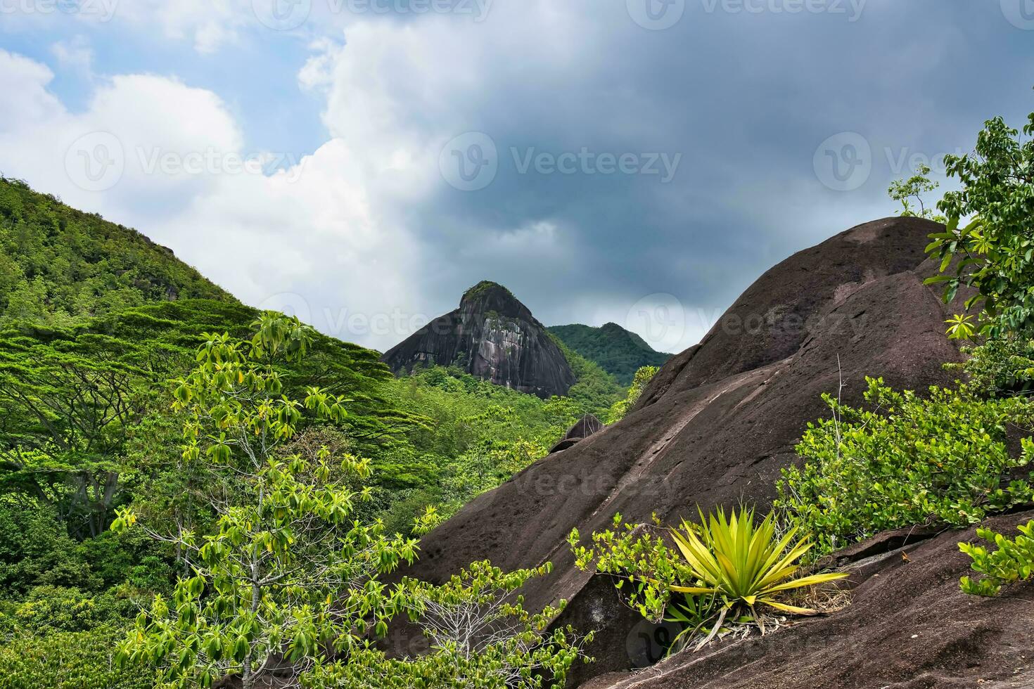 anse maggiore natura sentiero, enorme granito roccia, lussureggiante vegetazione foto