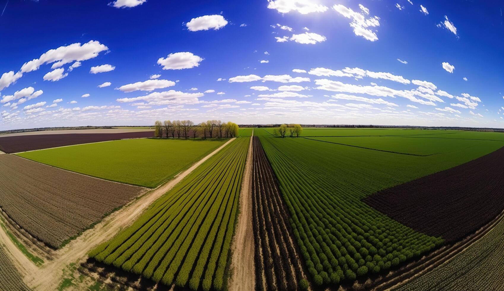 generativo ai, azienda agricola paesaggio, agricolo Grano campi, bellissimo campagna, nazione strada. natura illustrazione, fotorealistico superiore Visualizza drone, orizzontale striscione. foto