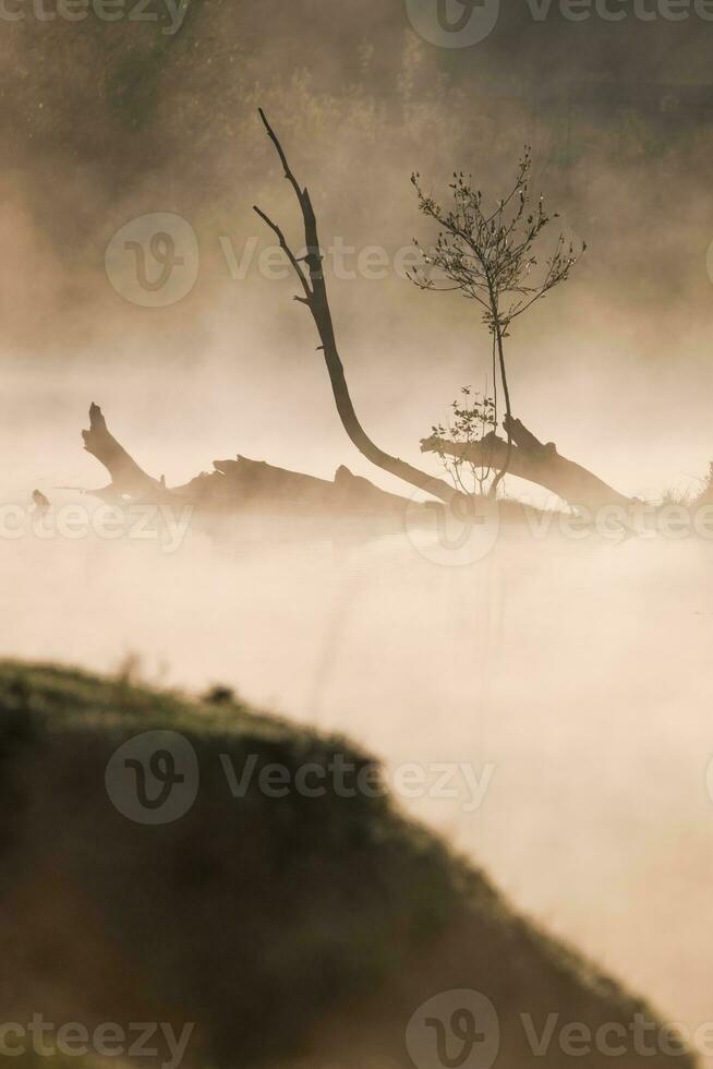 Visualizza di un' nebbioso lago foto