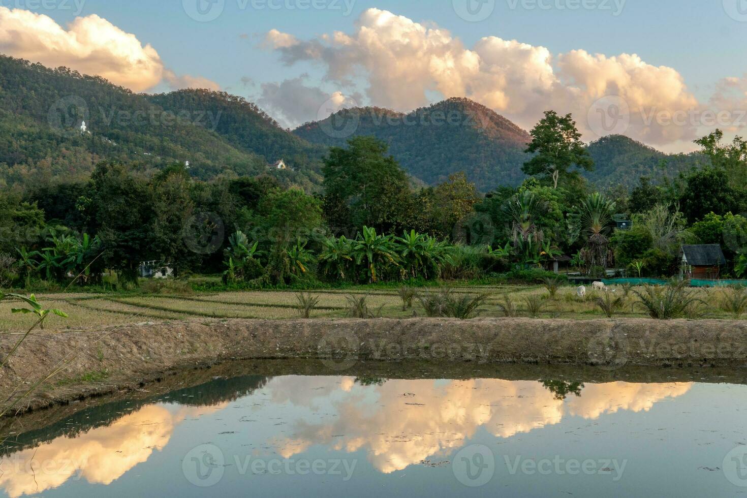 un' campo nel pai, Tailandia con montagne e nuvole nel il distanza foto