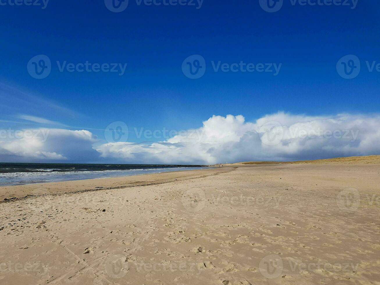 il infinito spiaggia a il settentrionale mare hvidbjerg incagliare blavanda Danimarca foto