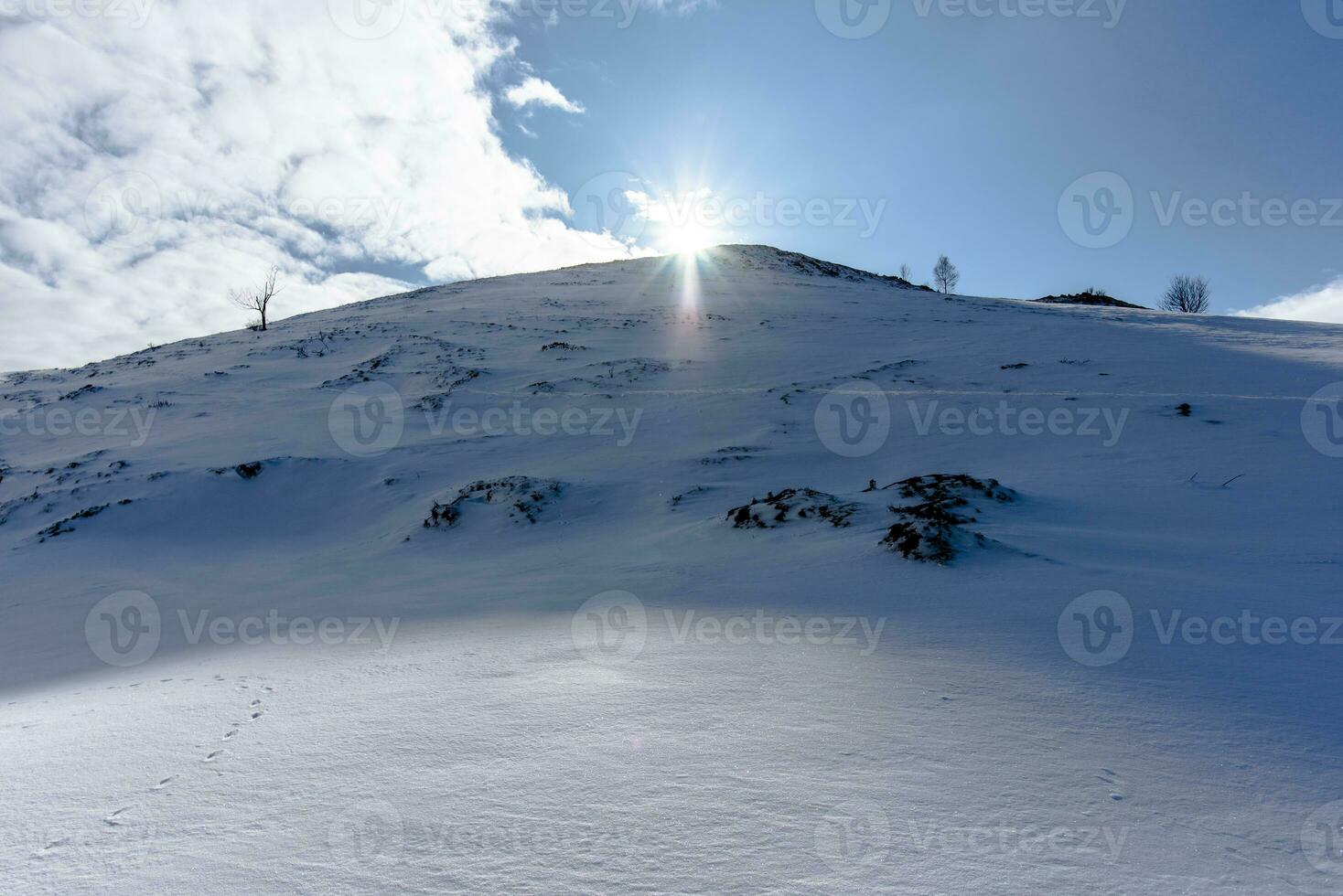 2023 01 128 campofontana nevoso paesaggi 9 foto