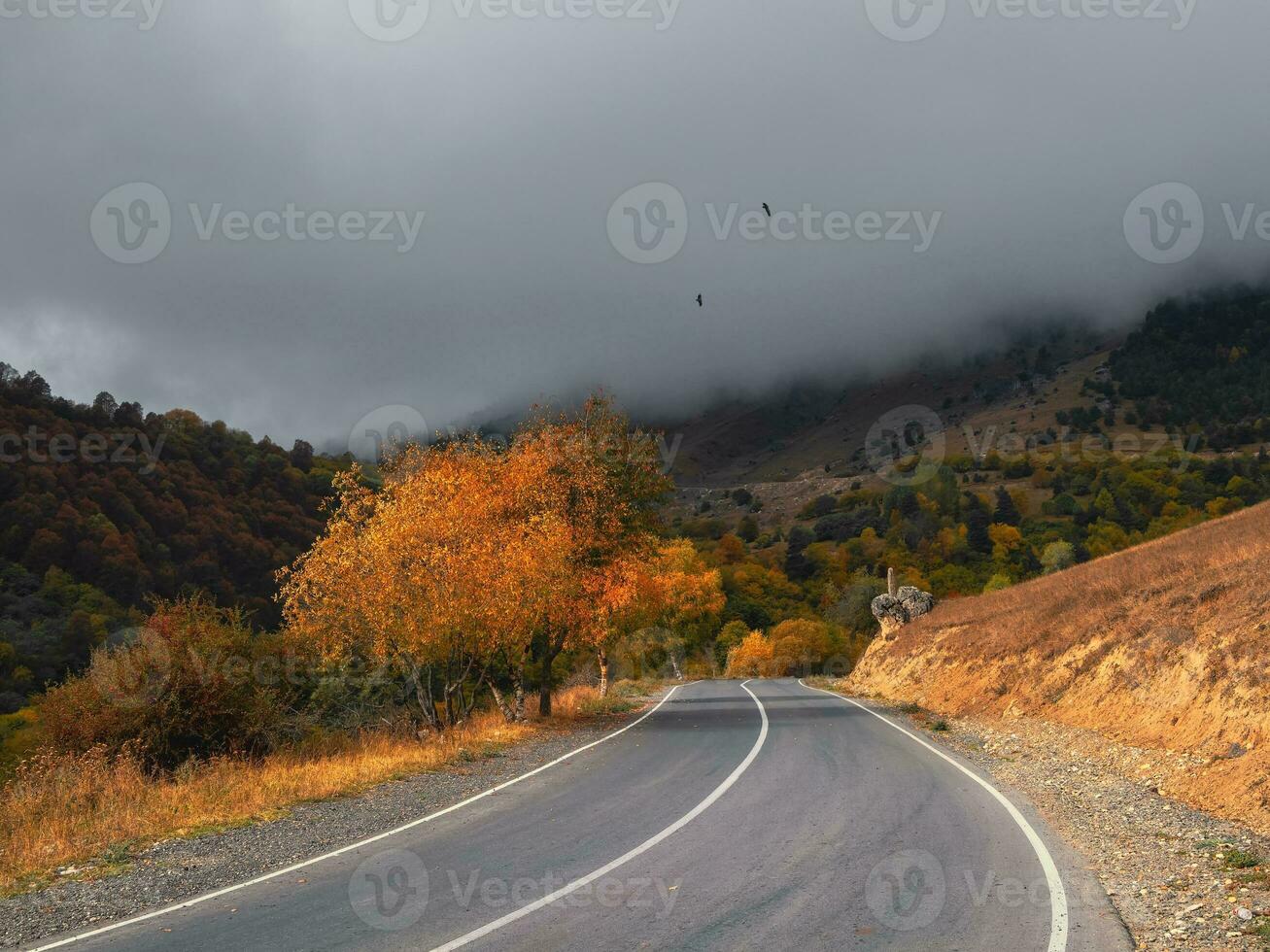 vuoto mattina autostrada attraverso il passaggio nel di spessore nebbia. bellissimo asfalto autostrada senza pedaggio, autostrada, autostrada attraverso di caucasico paesaggio montagne colline a freddo tempo metereologico nel medio ottobre. inguscezia. foto